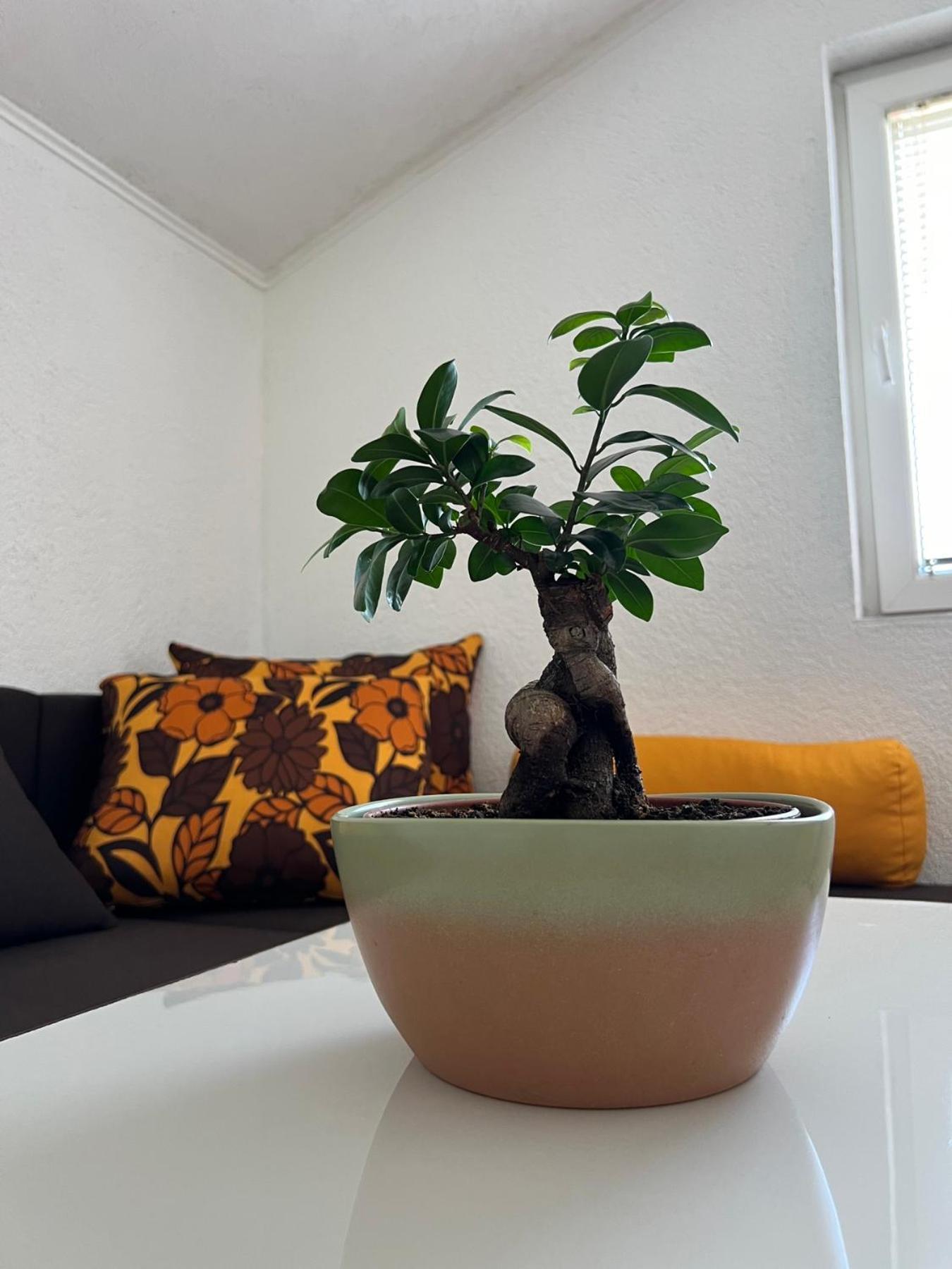 Guest House Veljanoski Ohrid Rum bild